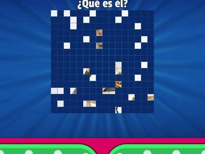 ¿Cuál es su profesión?