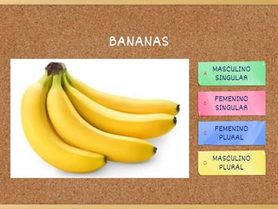   GENERO Y NUMERO DE SUSTANTIVOS