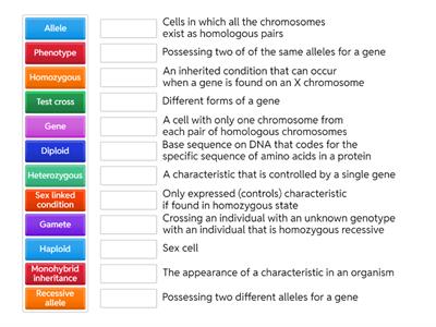 IGCSE Genetic inheritance