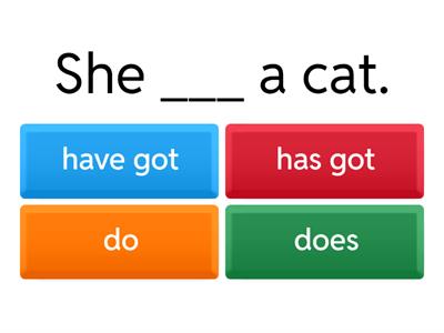Grammar: Have/Has, Do/Does, Is/Are/Am