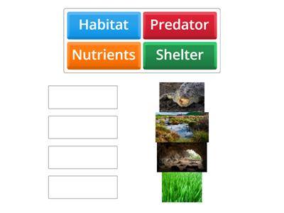 Animal Needs Matching