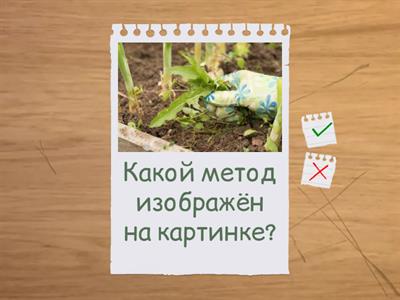 агротехнические приёмы 