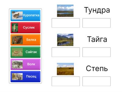Природные зоны