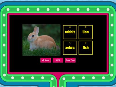 Spring Animals Game show