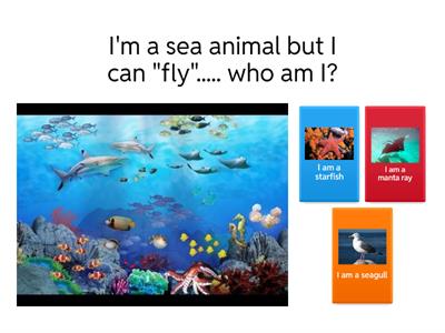 General English quiz