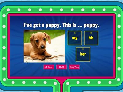 Possessive adjectives for A2