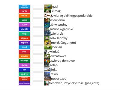 ŚWIAT PRZYRODY (Zwierzęta cz.2 )-repetytorium ósmoklasisty A2+/B1(Pearson) klasa 8 