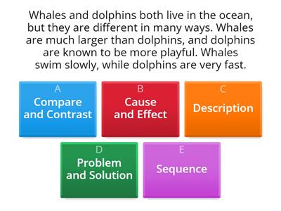 Text Structure Review 