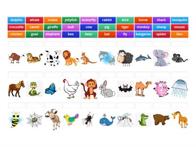 Animals EF Pre-Intermediate 