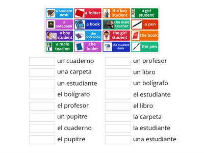 Spanish Definite v. Indefinite Articles Practice