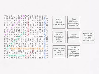 Актуализация - Хранене при животните