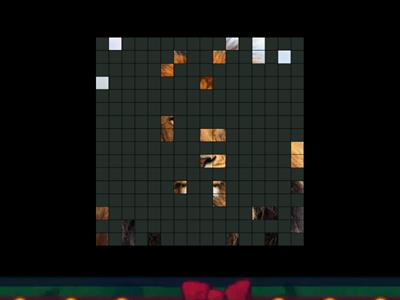 Super Minds 2nd Starter. Unit 4 (At the zoo)