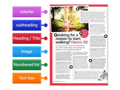 Article  - Organisational (layout) Features