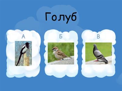 Вікторина " Птахи"