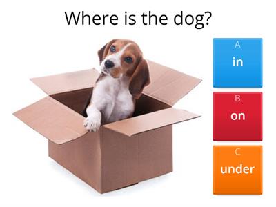 Prepositions in, on, under - 2nd grade