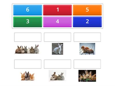 Vorschule - Zahlen und Hasen