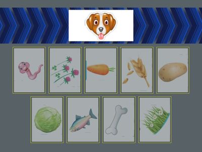 Хто що їсть? ( свійські тварини)