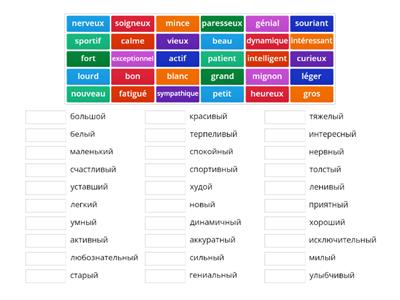 Adjectifs