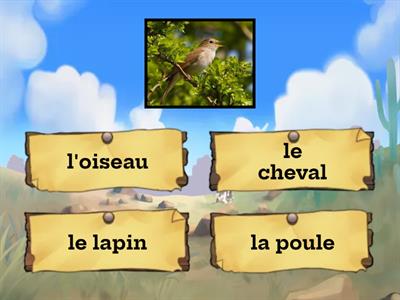 les animaux domestiques