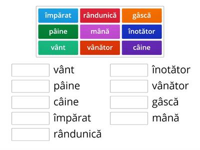 Literele î/ â. Cuvinte- cls. preg.