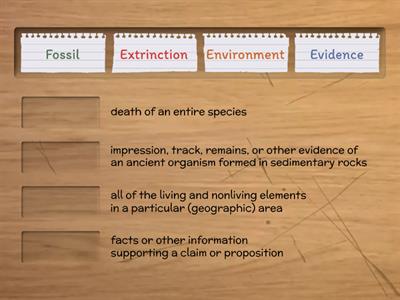 Unit 9 - Fossils and Environments 