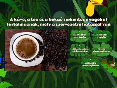 Kávé, tea, kakaó, csokoládé