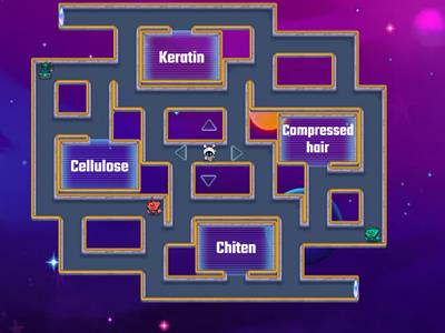 Cell Theory - Scientists