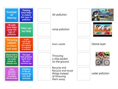 Grade 3 Pollution 