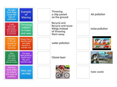 Grade 3 Pollution 