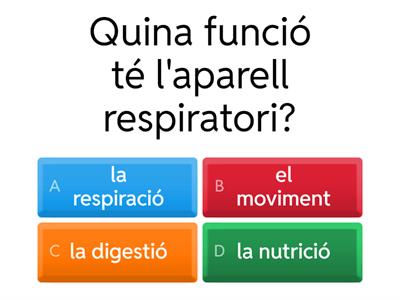 L'APARELL RESPIRATORI 5è primària