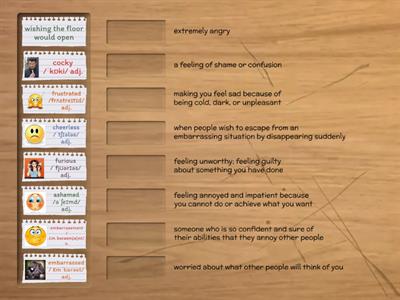 Expressing your feelings - pre-teaching vocabulary