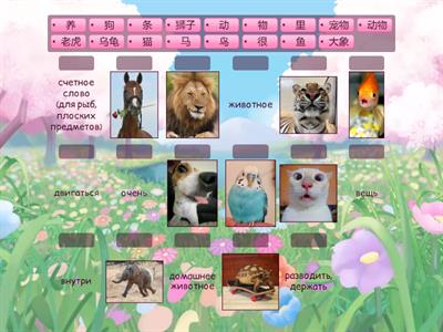 Легкий китайский 11 урок 