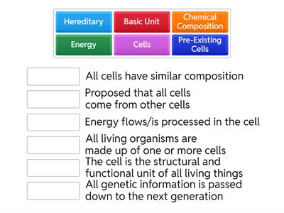 Cell Theory