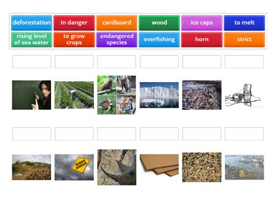 Think 2, Unit 6 - "The Environment" Pre-Reading