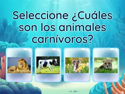 Clasificación de los animales según su alimentación