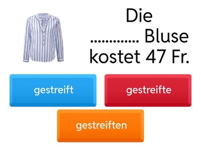 SPN 4 L 10 Adjektivdeklination (im Nominativ)