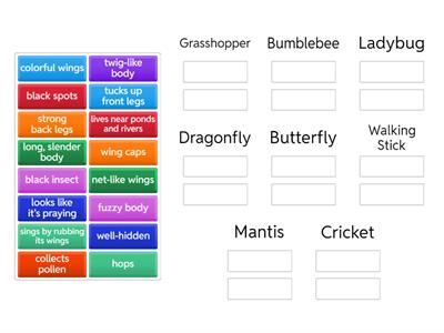 Insects (Flyleaf 39) sorting