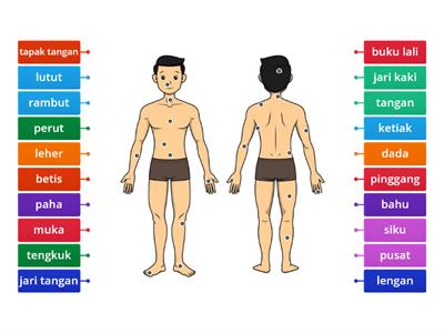 Kosa Kata: Anggota Badan