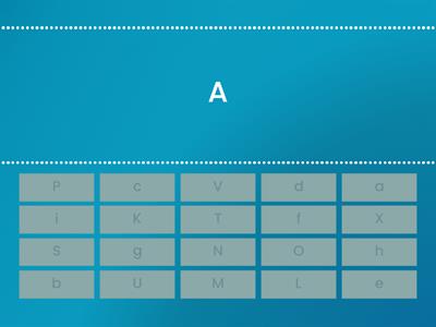  Matching Upper Case and Lower Case Letters 