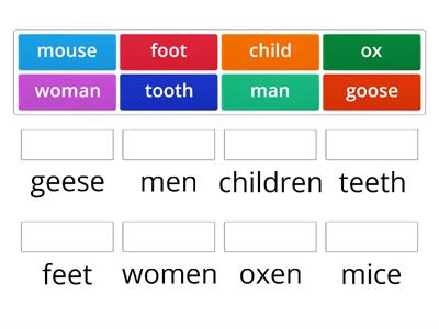 Irregular Nouns