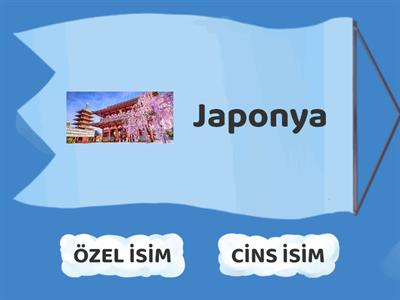 Özel İsim---Cins İsim 