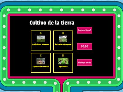 Actividades Primarias 5º