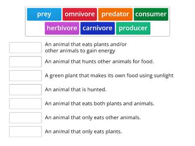 Food Chains