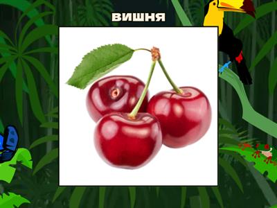 Flying fruit -  Fruit