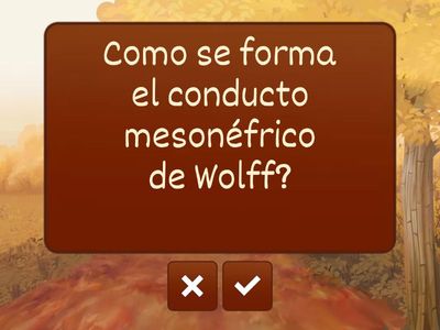 EMBRIOLOGIA 14 (Sistema reproductor)