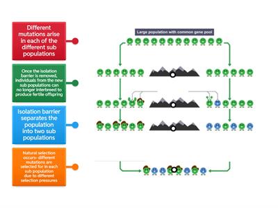 Nat 5 KA6 Speciation Labelled Diagram