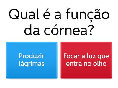 Questionário Iniciante
