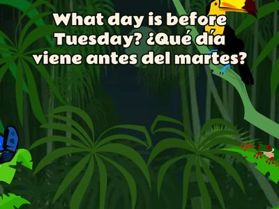 Days of the Week and Daily Routines