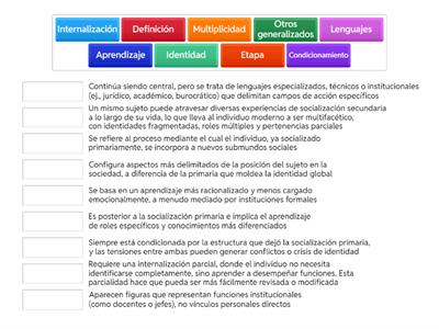 Socialización secundaria