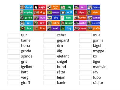 grundläggande ord 4 Animals